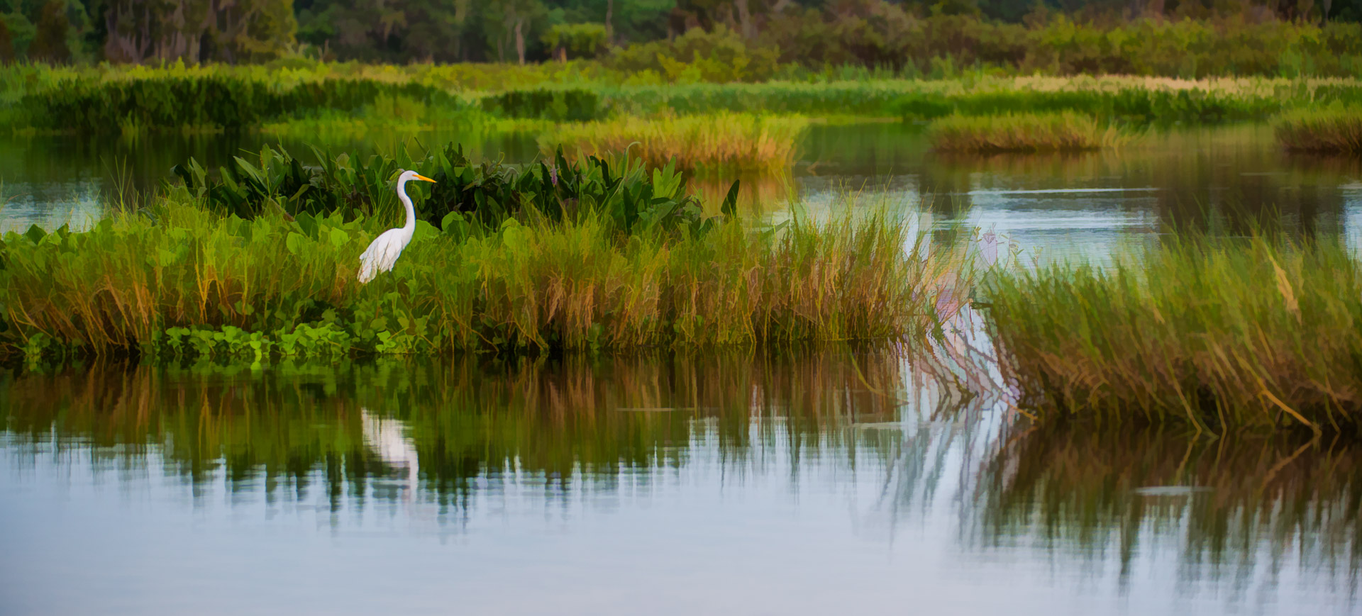 Circle B Bar Reserve Lakeland FL A Central Florida Park You Should