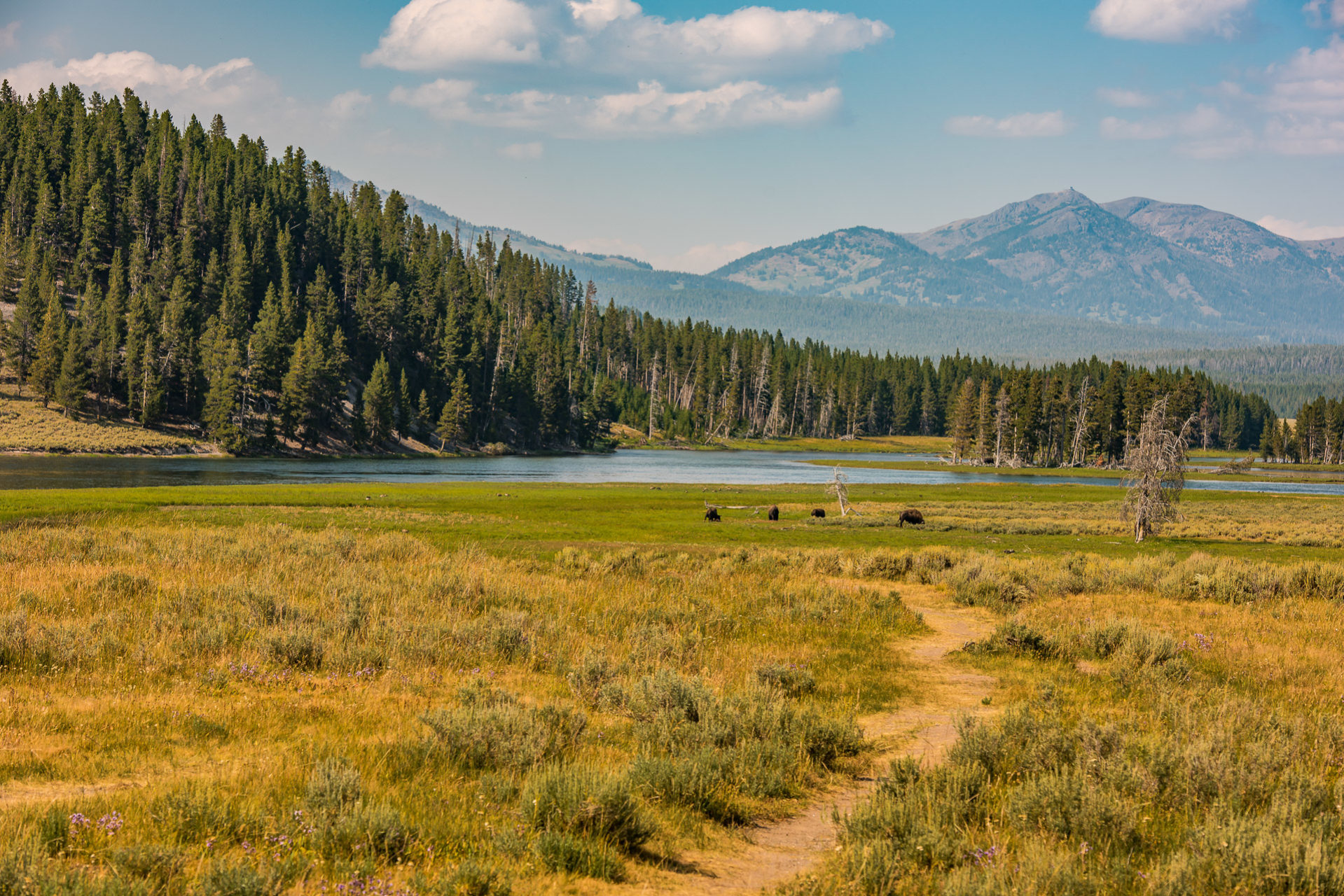 Hayden Properties Wyoming At Michael Oglesby Blog Hayden Properties Wyoming At Michael Oglesby Blog